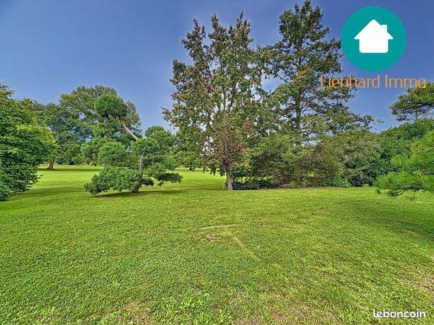 Maison à vendre, 300m², Strasbourg