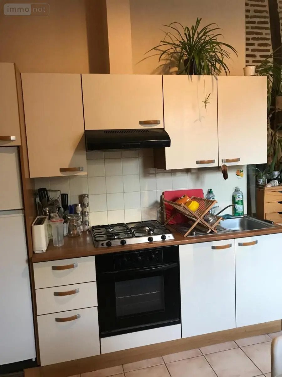 Appartement à louer, 49m², Tours