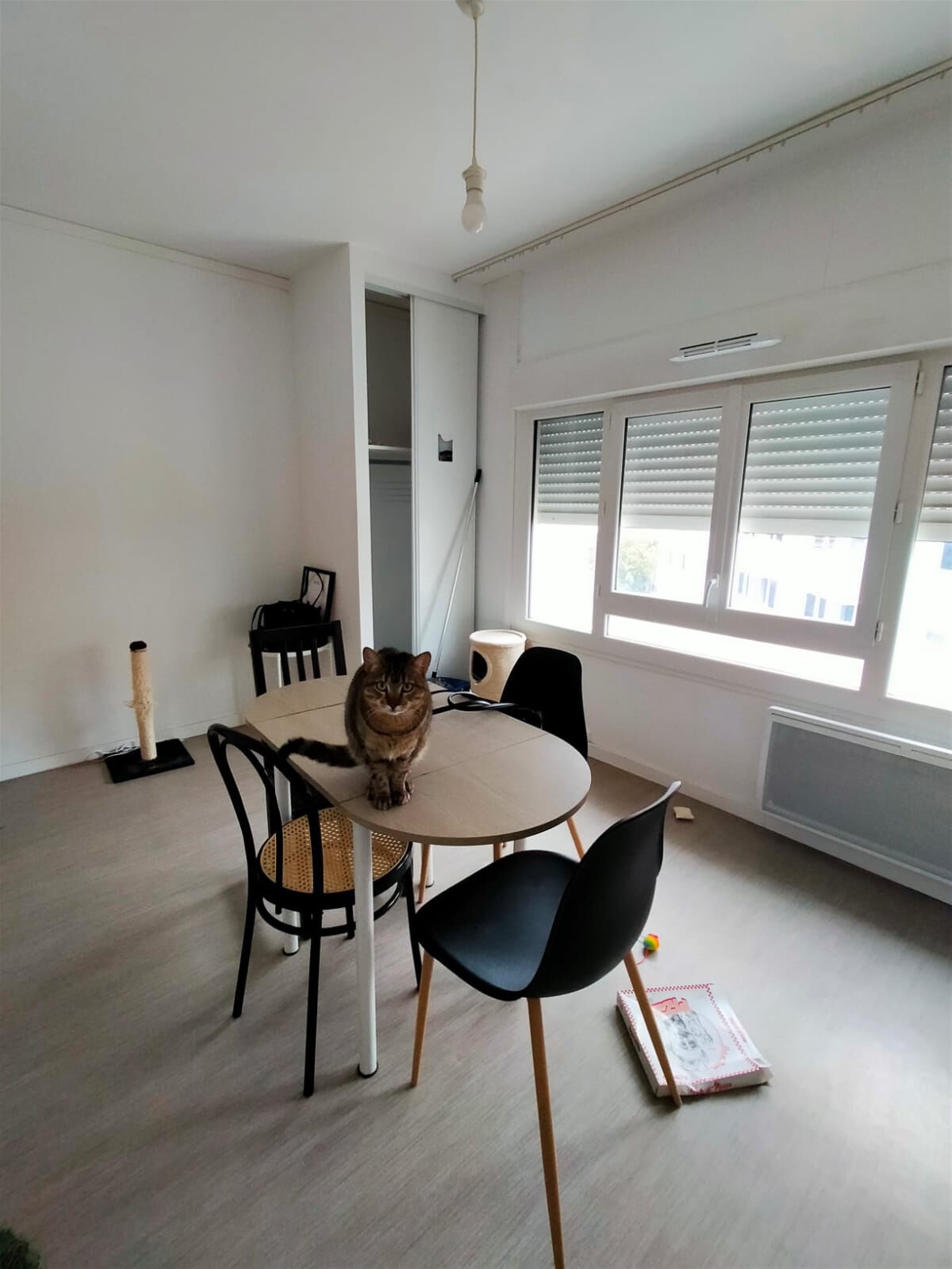 Appartement à louer, 35m², Montpellier