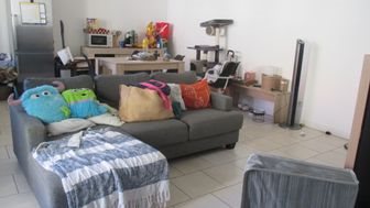 Appartement à louer, 50m², Lille