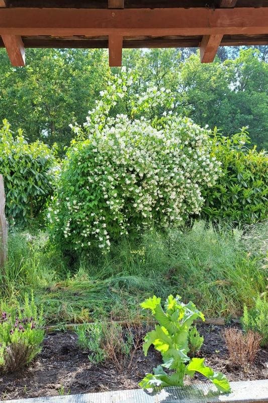 Maison à vendre, 101m², Maillères