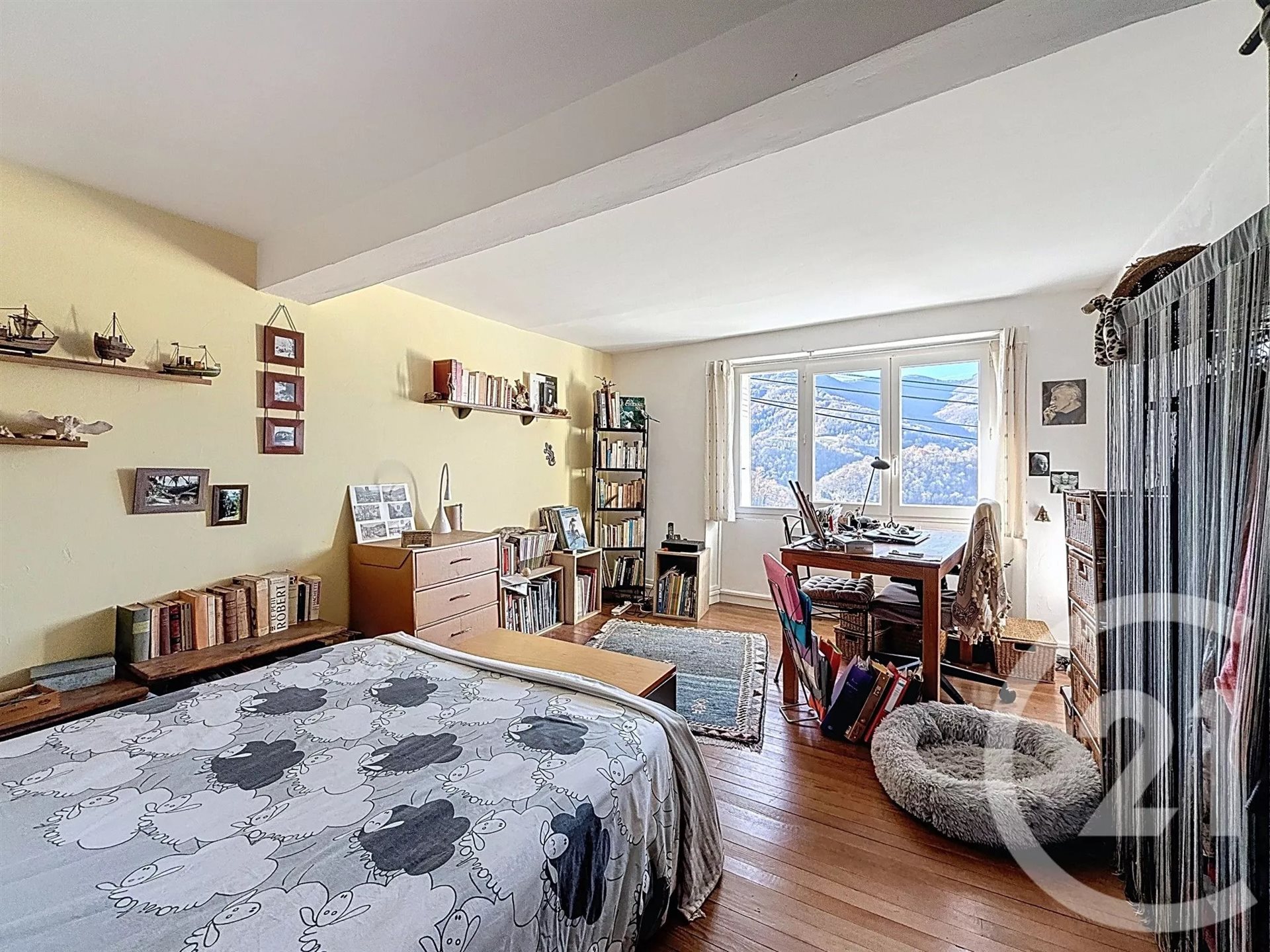 Maison à vendre, 190m², Castillon-en-Couserans