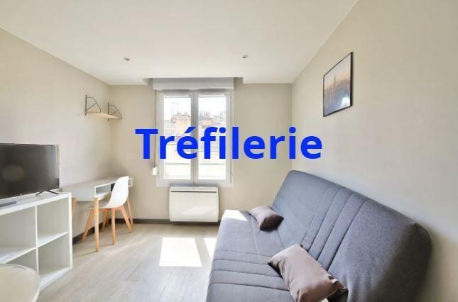 Appartement à louer, 18m², Saint-Etienne