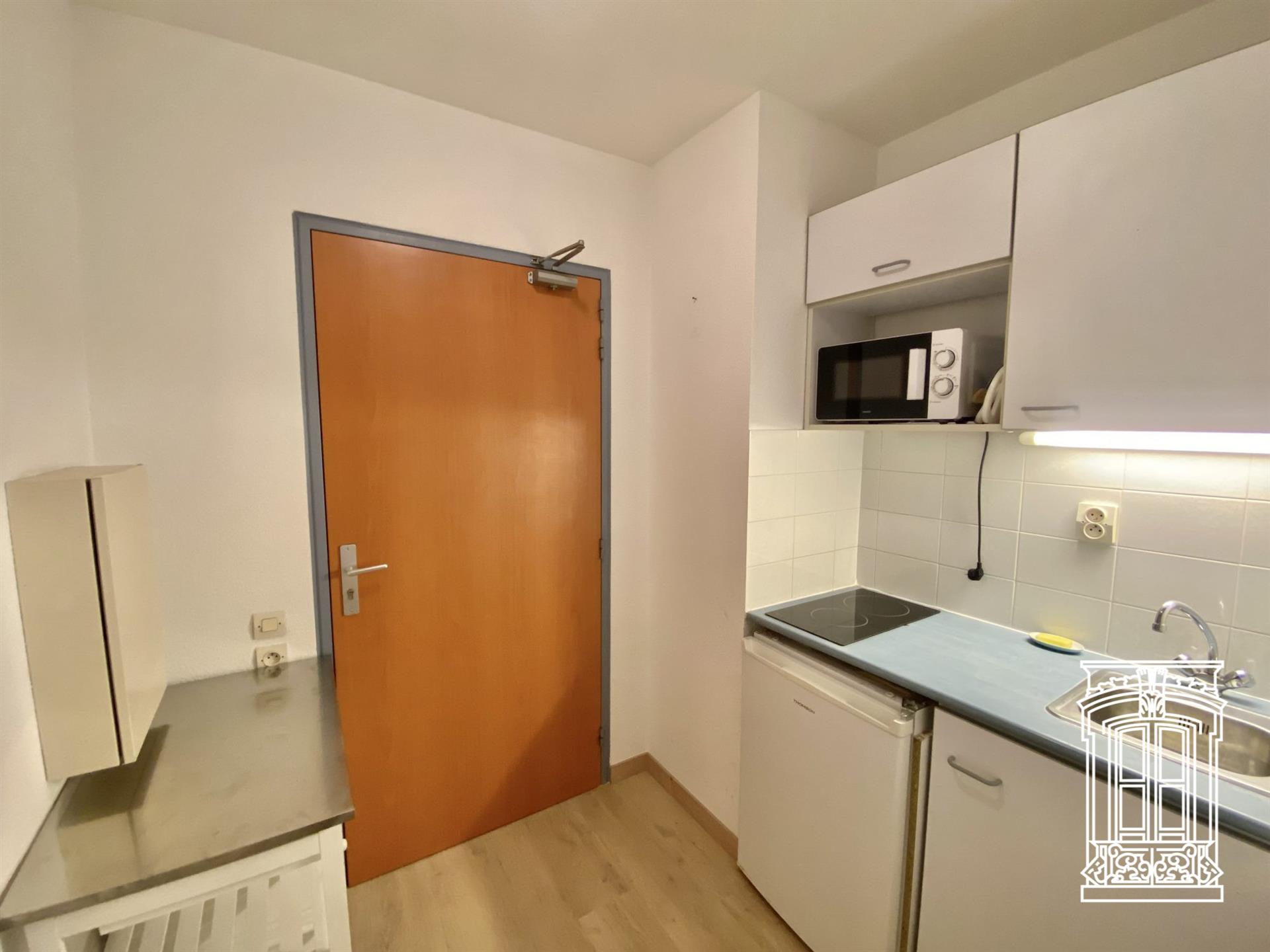 Appartement à louer, 19m², Lyon 7ème