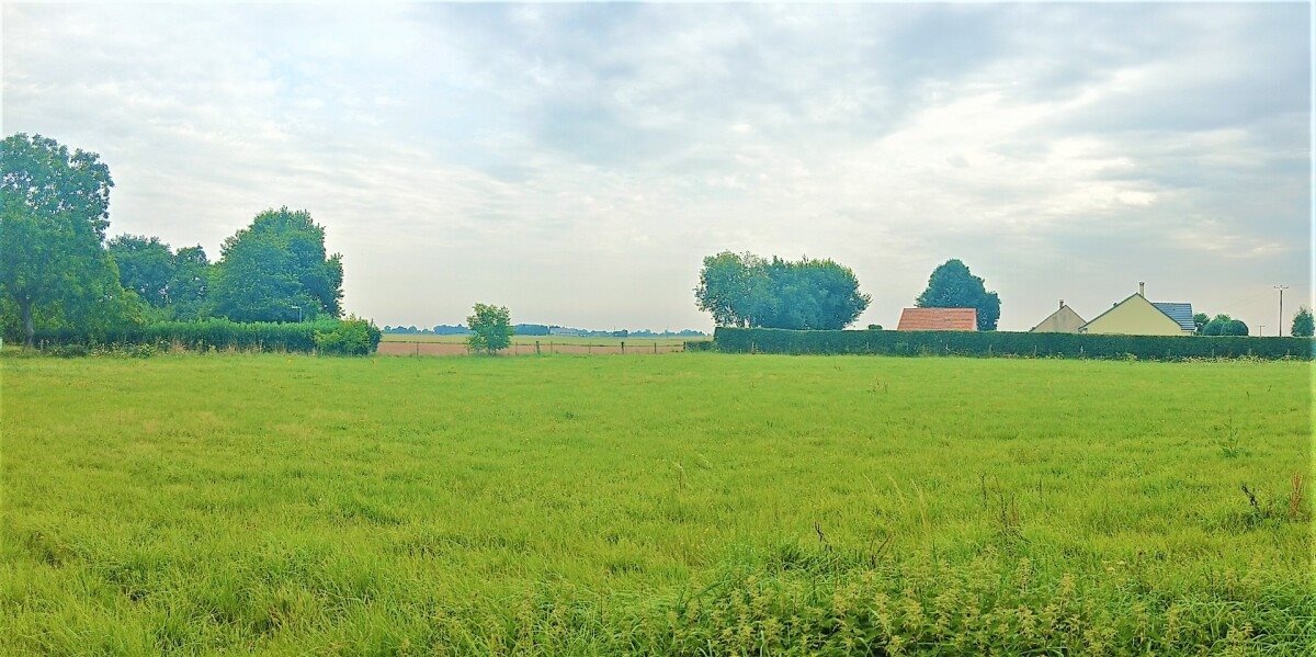 Maison à vendre, 1405m², Colletot