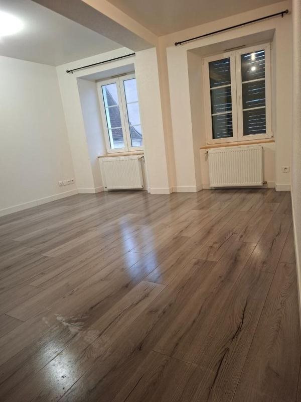 Appartement à louer, 45m², Delle