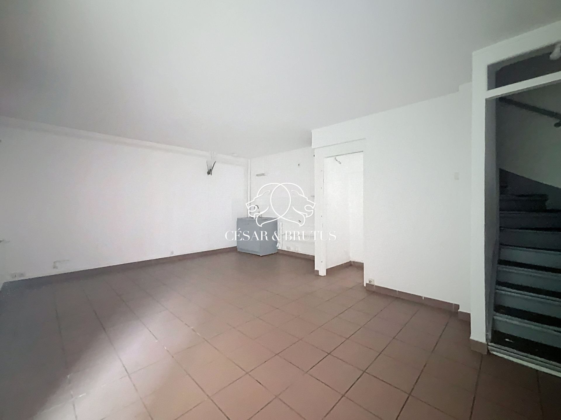 Appartement à vendre, 51m², Lyon 7ème