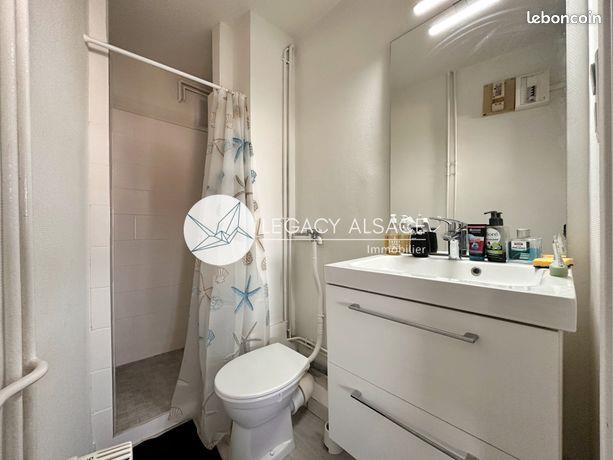 Appartement à vendre, 17m², Strasbourg