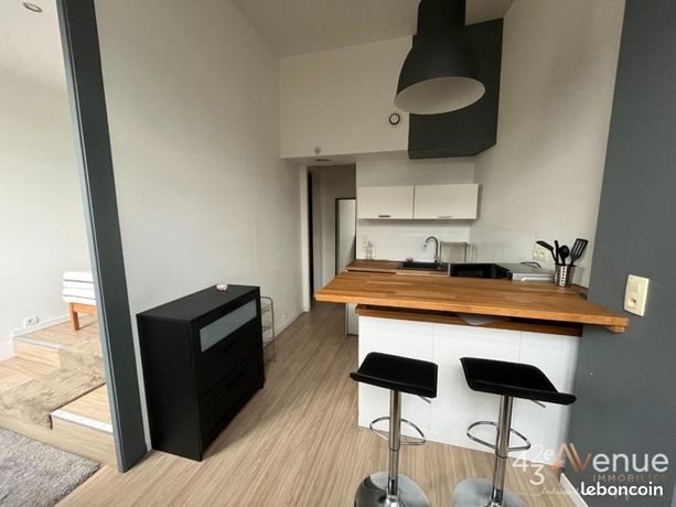 Appartement à louer, 27m², Saint-Etienne