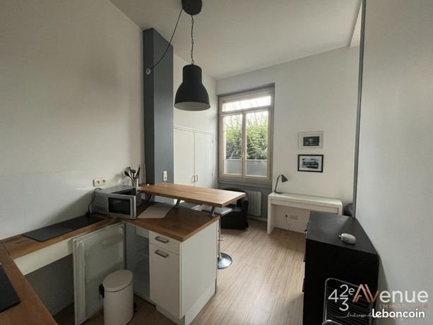 Appartement à louer, 27m², Saint-Etienne