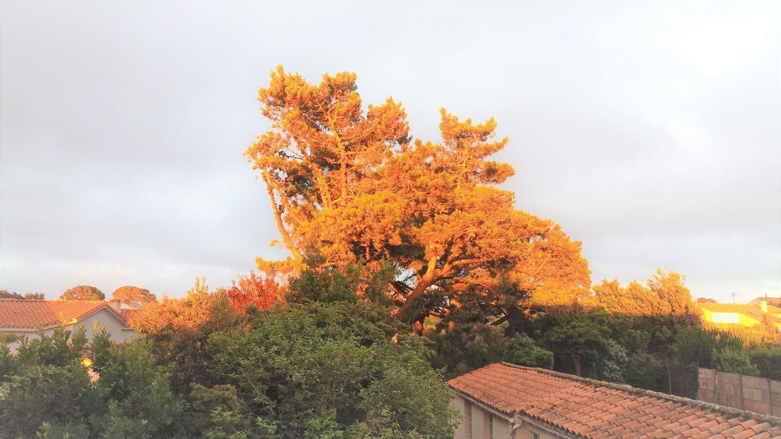 Appartement à louer, 30m², L'Ile-d'Olonne
