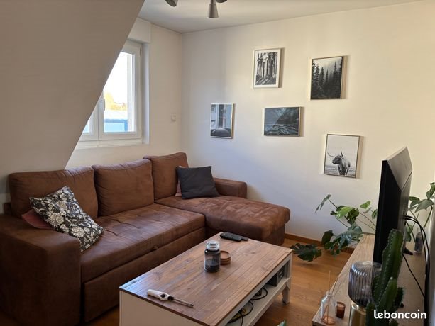 Appartement à louer, 50m², Strasbourg
