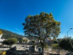 Appartement à louer, 30m², Nice