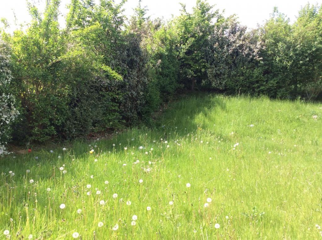 Maison à louer, 84m², Arras