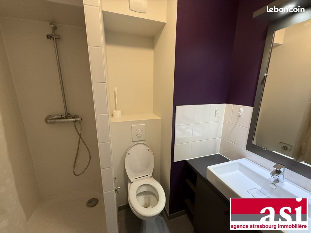 Appartement à vendre, 17m², Strasbourg