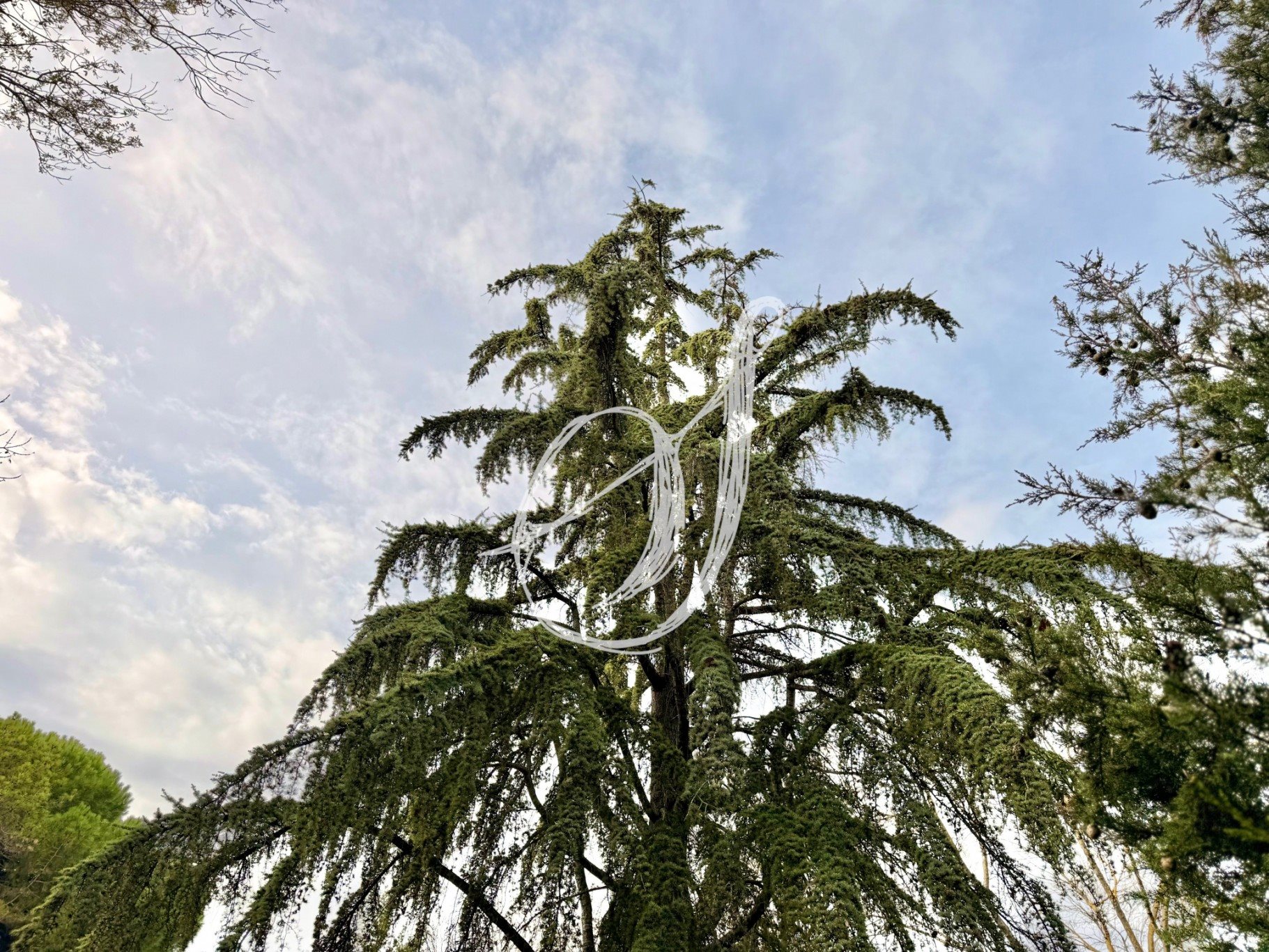 Maison à vendre, 177m², Montpellier