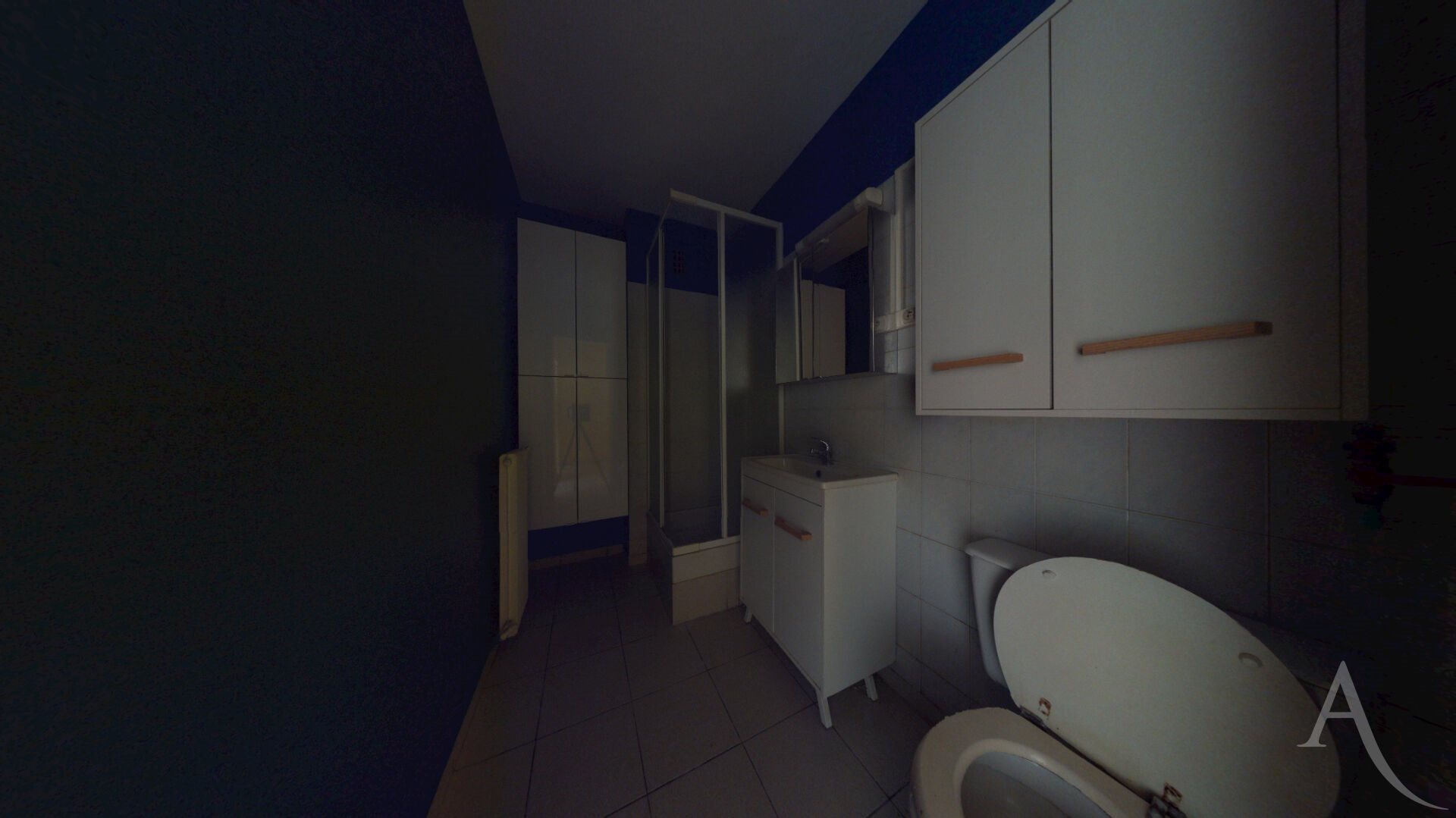 Appartement à vendre, 26m², Grenoble