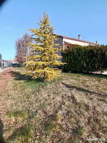 Maison à louer, 106m², Mirabel-et-Blacons