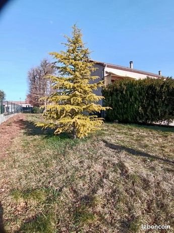 Maison à louer, 106m², Mirabel-et-Blacons