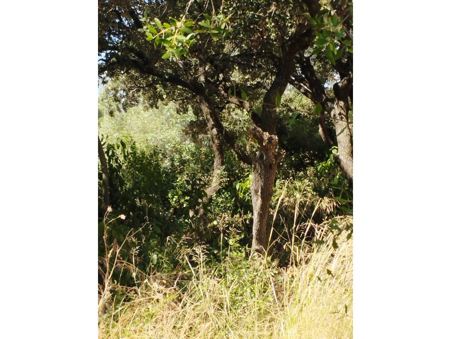 Appartement à vendre, 78m², Montpellier