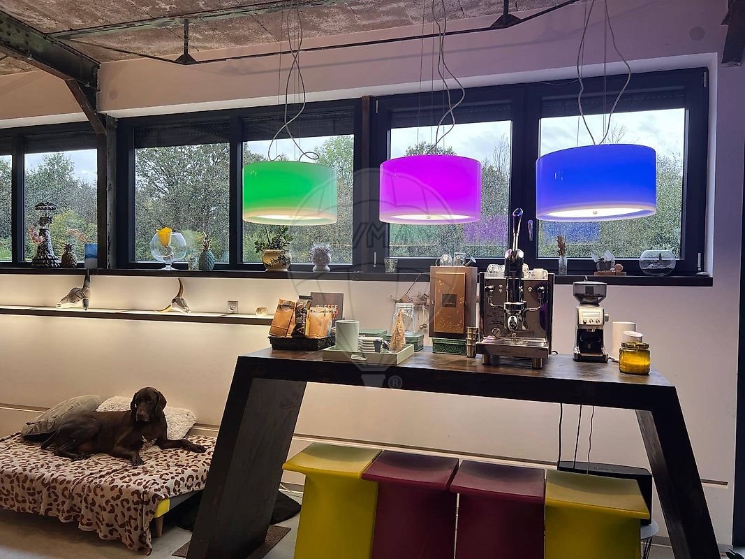 Maison à vendre, 383m², Sarreguemines