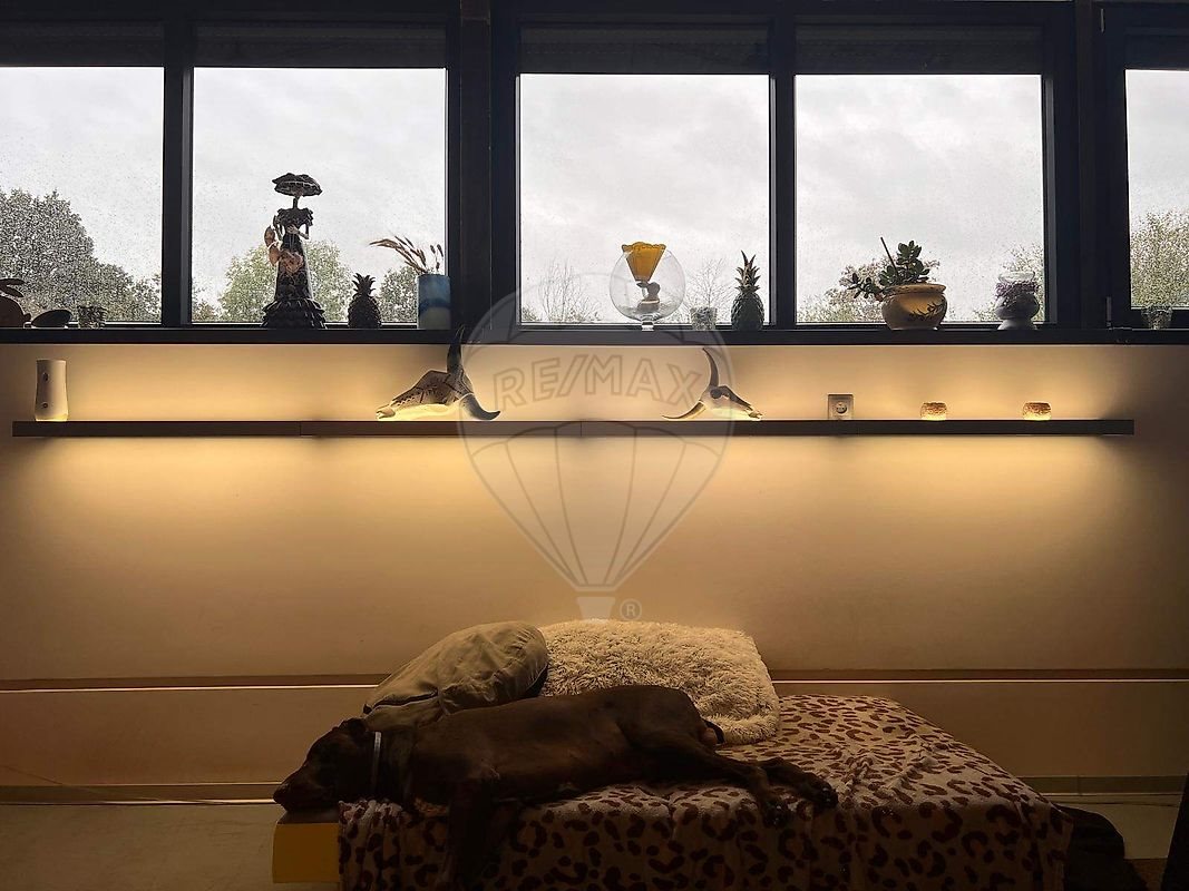 Maison à vendre, 383m², Sarreguemines