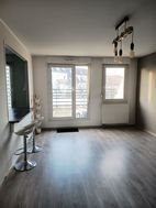 Appartement à louer, 50m², Strasbourg