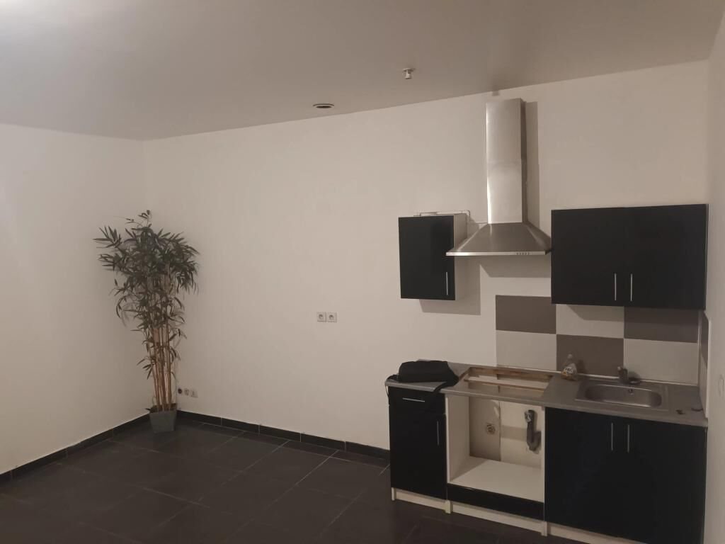 Appartement à louer, 50m², Givors