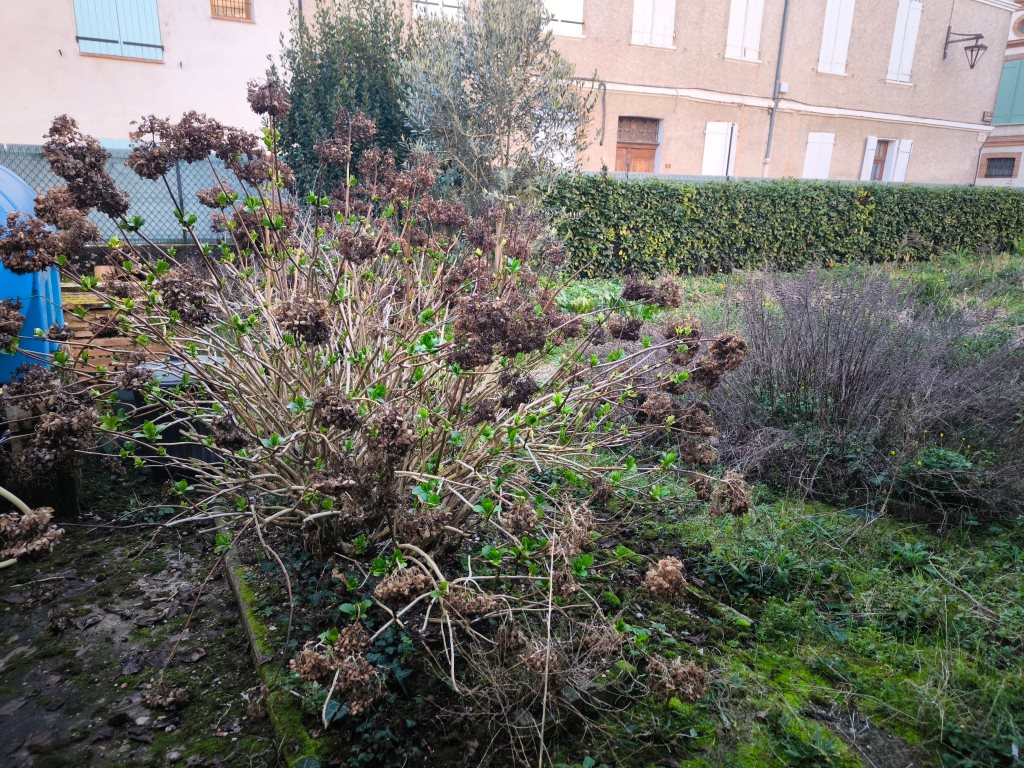 Maison à vendre, 48m², Saint-Sulpice