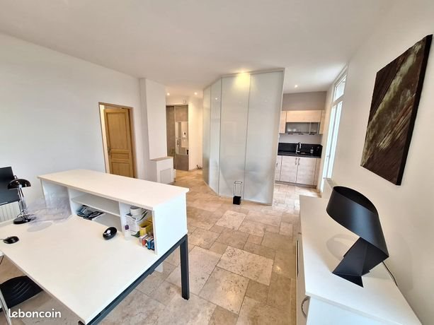 Appartement à louer, 100m², Tours