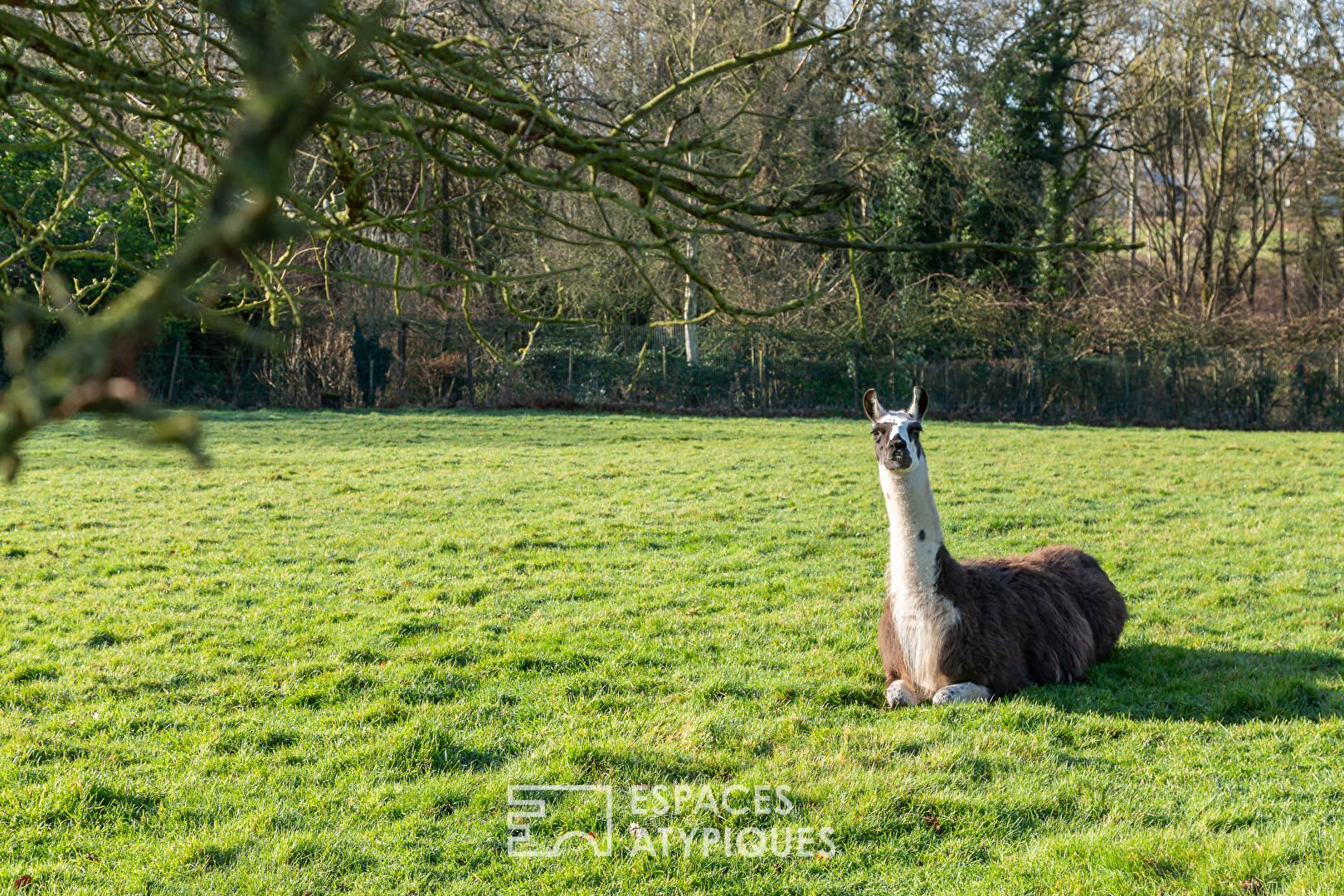 Maison à vendre, 165m², Pordic