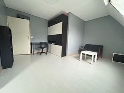 Appartement à louer, 29m², Le Kremlin-Bicêtre