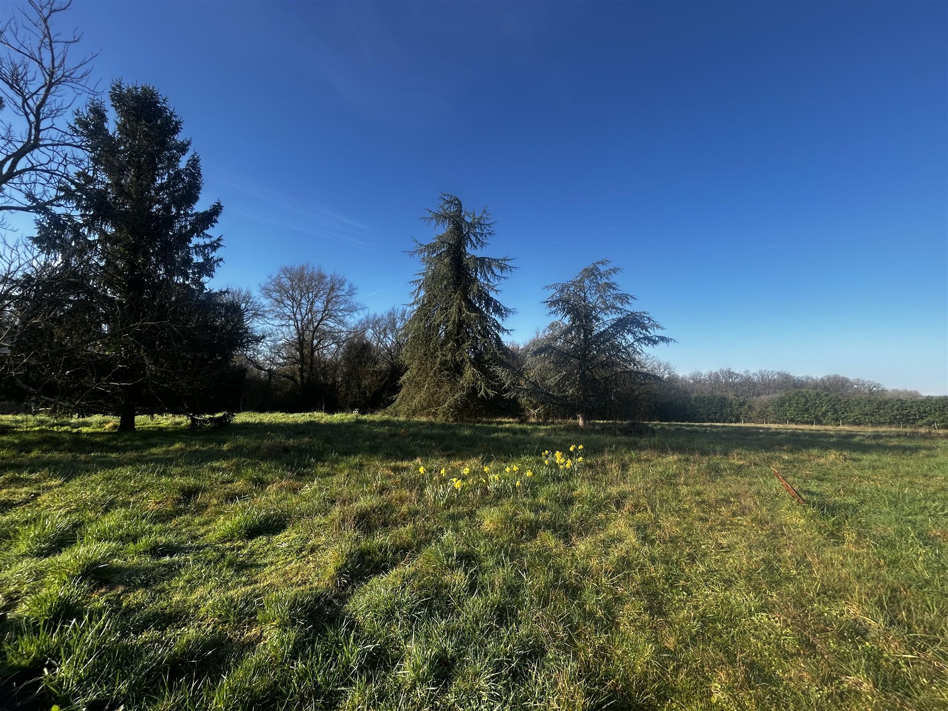 Maison à vendre, 134m², Faverolles-sur-Cher