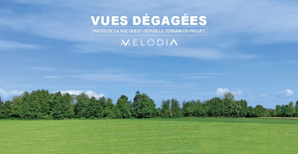 Appartement à vendre, 44m², Lipsheim