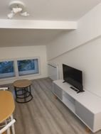 Appartement à louer, 24m², Saint-Etienne