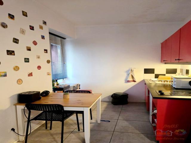 Appartement à vendre, 32m², Strasbourg