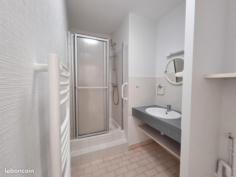 Appartement à louer, 51m², Tours