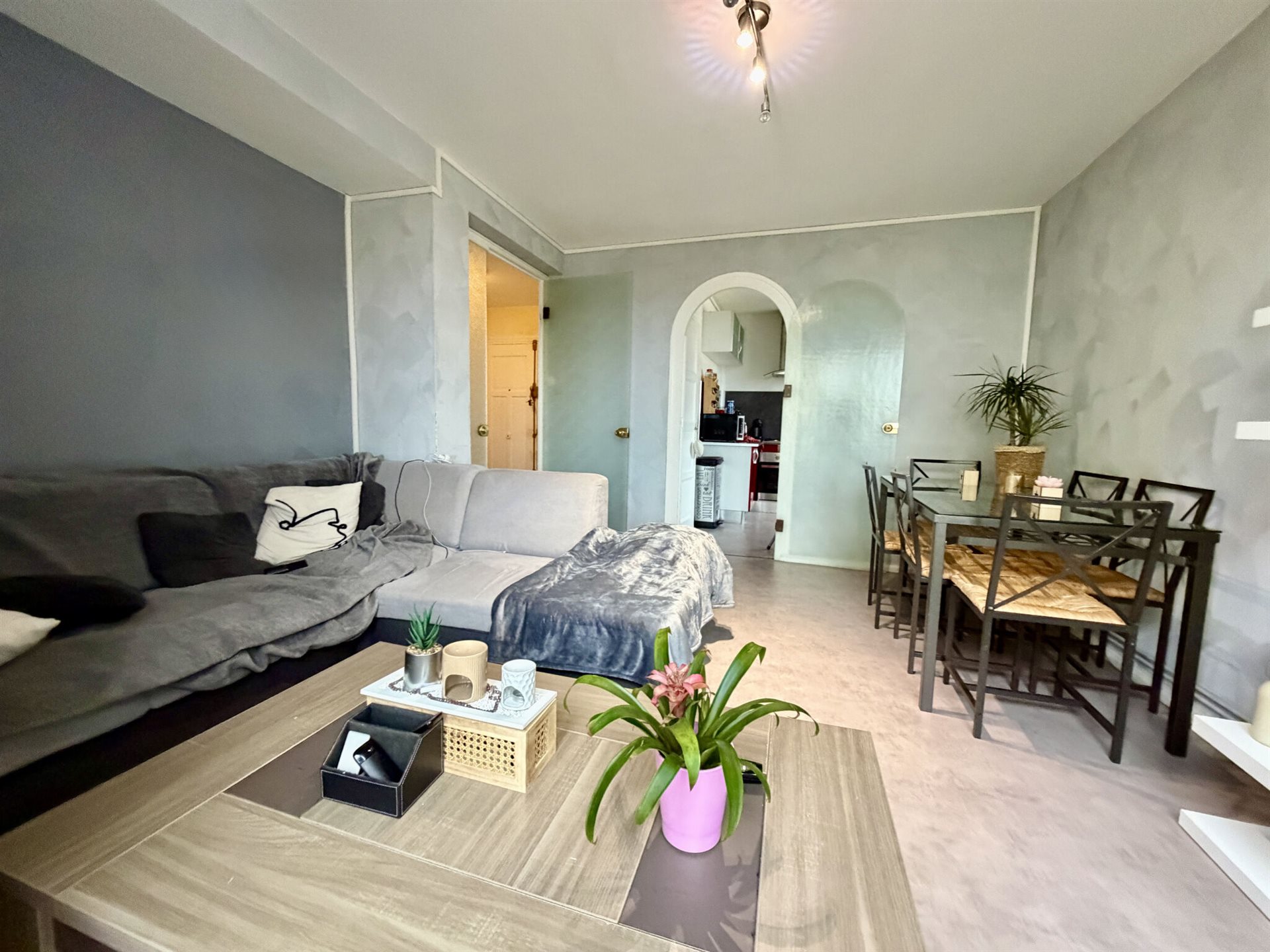 Appartement à vendre, 56m², Saint-Etienne