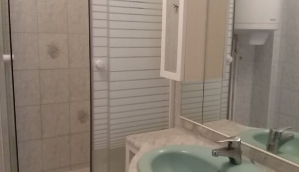 Appartement à louer, 30m², Reims