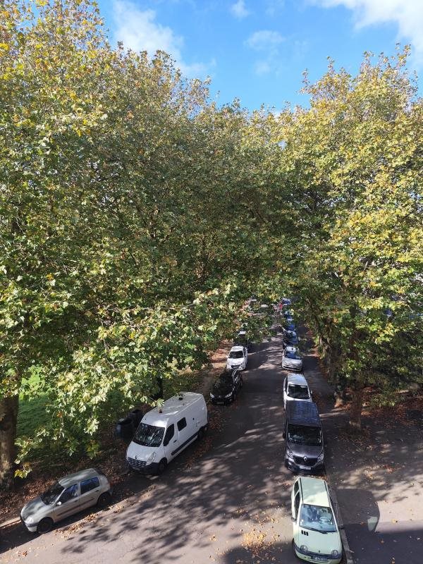 Appartement à louer, 49m², Brest