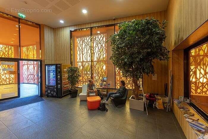 Appartement à vendre, 18m², Grenoble