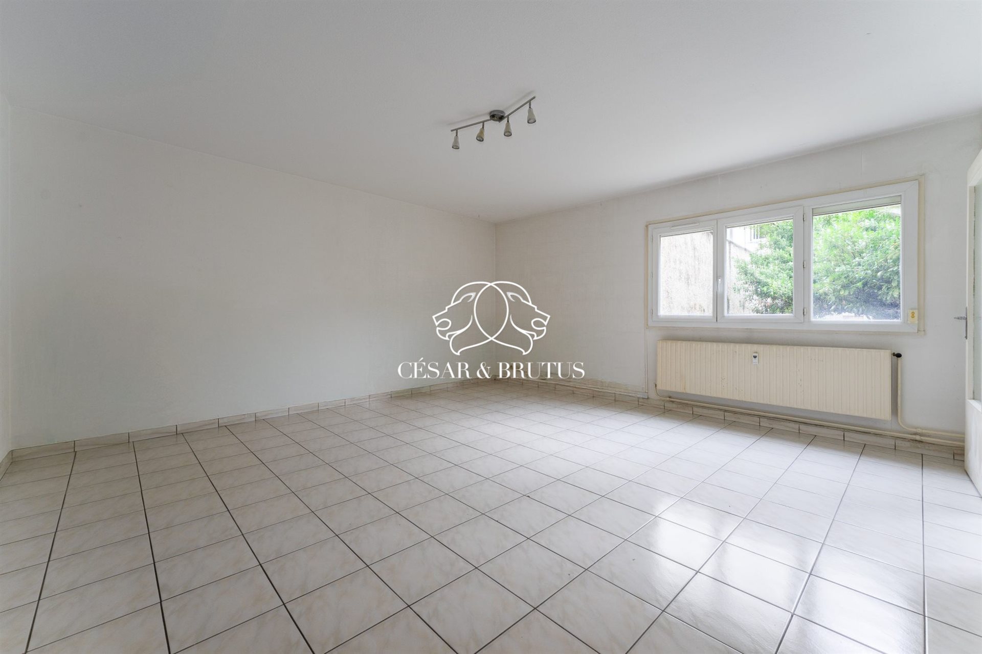 Appartement à vendre, 40m², Lyon 7ème