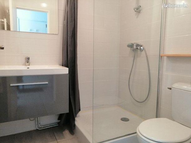 Appartement à louer, 28m², Saint-Etienne