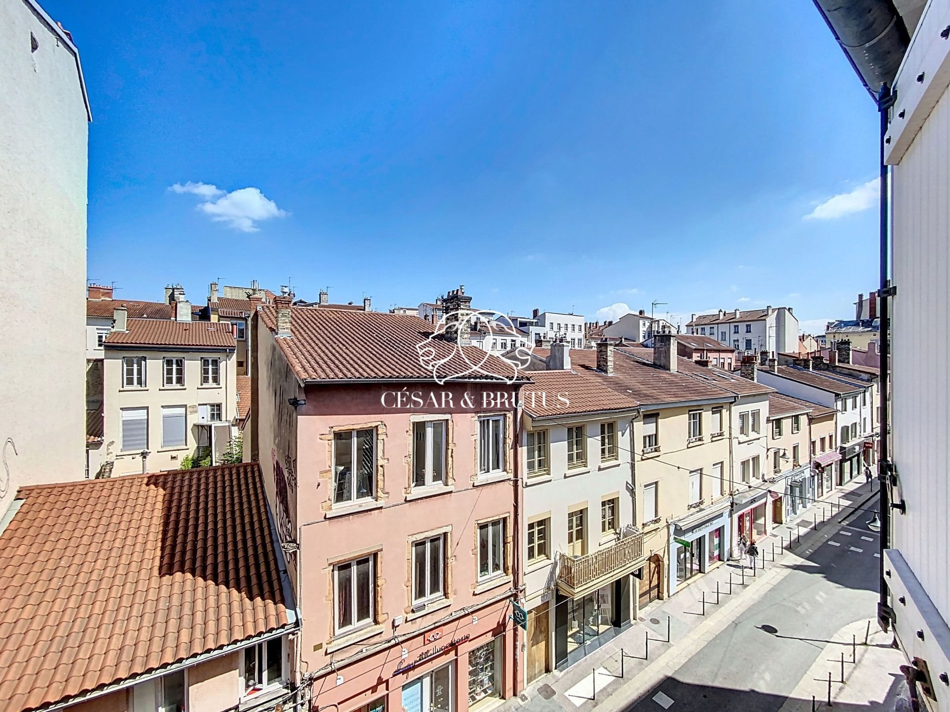 Appartement à vendre, 91m², Lyon 4ème