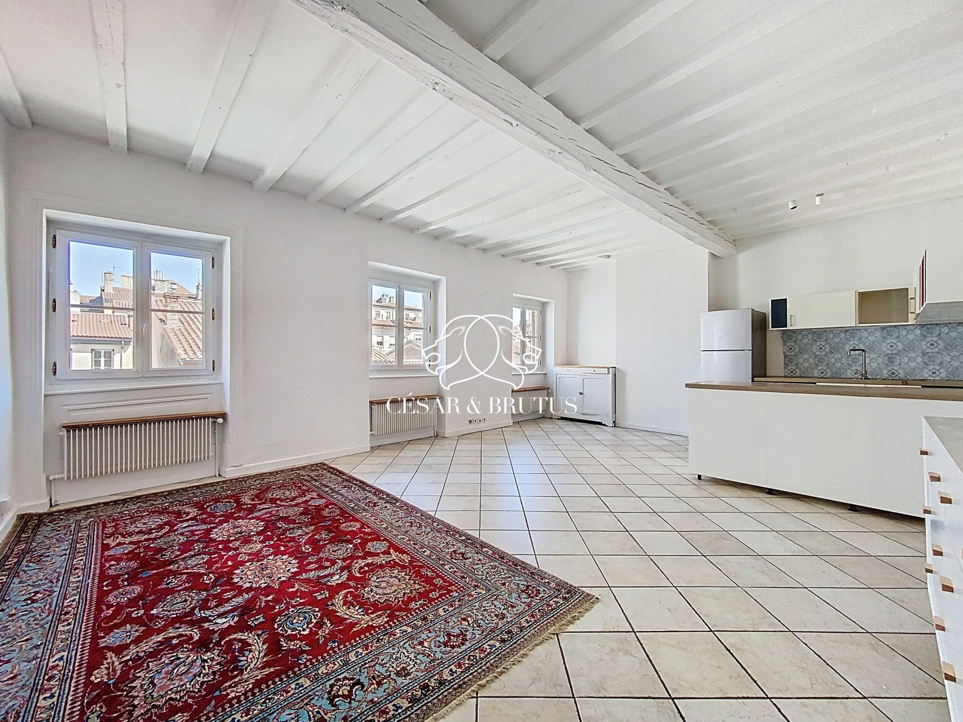 Appartement à vendre, 91m², Lyon 4ème