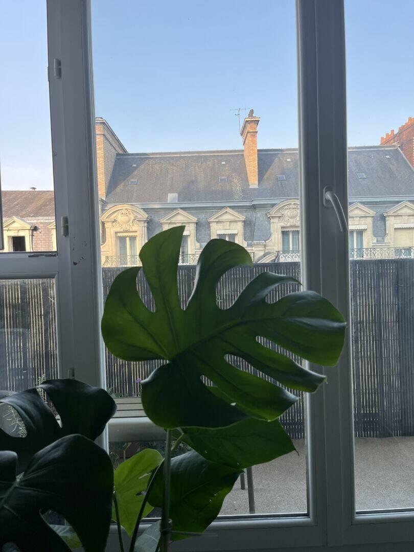 Appartement à vendre, 51m², Le Mans