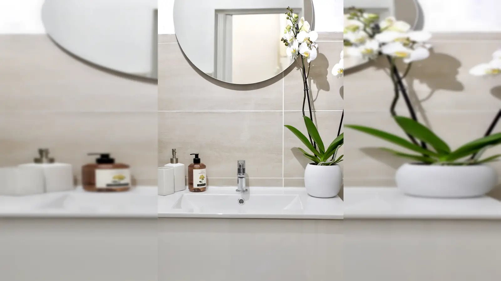 Appartement à louer, 37m², Nice