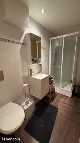 Appartement à louer, 22m², Lille