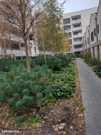 Appartement à louer, 46m², Bordeaux