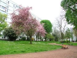 Appartement à louer, 60m², Lille